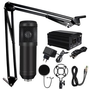 Microphone à Condensateur BM-800 avec Bras Articulé